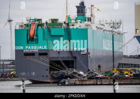 Verladung von Neuwagen am BLG AutoTerminal Bremerhaven, für den Export nach Übersee, Autotransporteur Don Pasquale der Reederei Wallenius Wilhelmsen, seeH Stockfoto