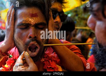 Bandel, Indien. 06. April 2023. Ein Gläubiger, der während des religiösen Festivals Vel Vel in Westbengalen von einem Speer (auch als göttlicher Speer bekannt) durchbohrt wurde. Velvel ist ein Hindu-Festival, das dem Hindu-Gott Murugan/Mutthumariamman gewidmet ist und im April gefeiert wird. Die Gläubigen führen verschiedene schmerzhafte Rituale durch, oft mit Piercing, in der Überzeugung, dass Gott Murugan/Mutthumariamman ihre Familienmitglieder für das nächste Jahr vor allen bösen Mächten retten wird. (Foto: Avishek das/SOPA Images/Sipa USA) Guthaben: SIPA USA/Alamy Live News Stockfoto