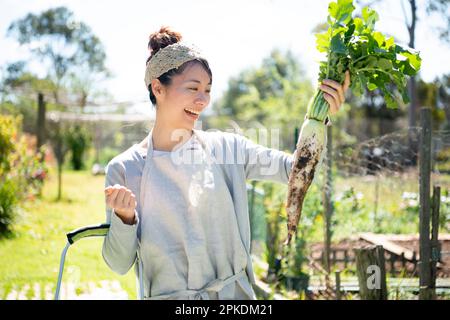 Eine Frau, die mit Radieschen lacht, die auf dem Feld geerntet wurden Stockfoto