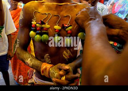 Bandel, Indien. 06. April 2023. Ein Gläubiger durchbohrt seine Haut während einer religiösen Prozession, um das Bhel-Bhel-Festival zu feiern, das der Hindugöttin Muthumariamman in Bandel im östlichen Bundesstaat Westbengalen gewidmet ist. Velvel ist ein Hindu-Festival, das dem Hindu-Gott Murugan/Mutthumariamman gewidmet ist und im April gefeiert wird. Die Gläubigen führen verschiedene schmerzhafte Rituale durch, oft mit Piercing, in der Überzeugung, dass Gott Murugan/Mutthumariamman ihre Familienmitglieder für das nächste Jahr vor allen bösen Mächten retten wird. Kredit: SOPA Images Limited/Alamy Live News Stockfoto
