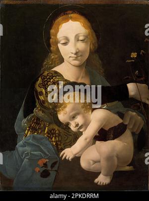 Die Jungfrau und das Kind (die Madonna der Rose) 1480 von Giovanni Antonio Boltraffio Stockfoto