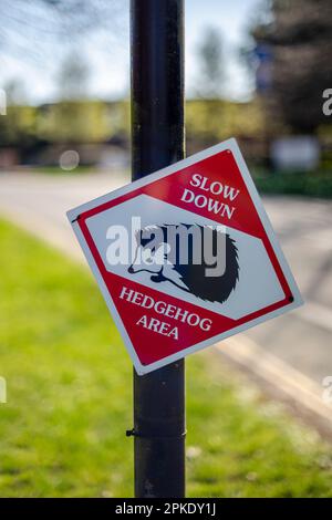 Schild „Slow down Hegehog Area“ am Straßenrand in Southampton, England, Großbritannien - Schutz der Igel Stockfoto