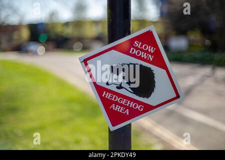 Schild „Slow down Hegehog Area“ am Straßenrand in Southampton, England, Großbritannien - Schutz der Igel Stockfoto