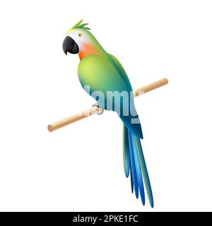 Cartoon niedlicher Papagei sitzt auf einer Bar, 3D-Vektorbild, farbenfroher Vogel Stock Vektor