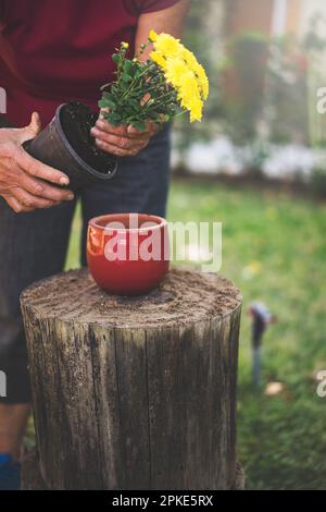 Seniorin, die an einem sonnigen Frühlingstag Blumen tötet Stockfoto