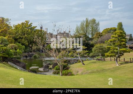 Suizenji Jojuen Park in Kumamoto, Japan zum Gedenken an Hosokawa Tadatoshi, Chef des Samurai-Clans, Japan Stockfoto