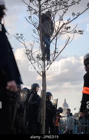 Paris, Frankreich. 6. April 2023. Julien Mattia / Le Pictorium - 11. Tag der Mobilisierung gegen die Rentenreform in Paris, 6. april 2023 - 06/04/2023 - Frankreich / Paris / Paris - Ein Demonstrante beobachtet den Strom von Demonstranten, die während des 11. Tages der Mobilisierung gegen die Rentenreform auf einem Baum stehen; In Paris, 6. April 2023. Kredit: LE PICTORIUM/Alamy Live News Stockfoto