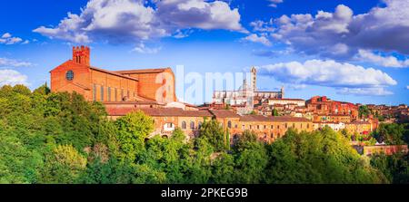 Siena, Italien. Sommerlandschaft von Sienna, einer wunderschönen mittelalterlichen Stadt in der Toskana, mit Blick auf den Sonnenuntergang über der Kathedrale. Stockfoto
