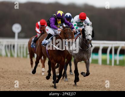 Rainbow Dreamer Rived by Hollie Doyle gewinnt die Wetteinsätze für die BetUK All-Weather Marathon Championships auf der Rennbahn Newcastle, Newcastle. Foto: Freitag, 7. April 2023. Stockfoto