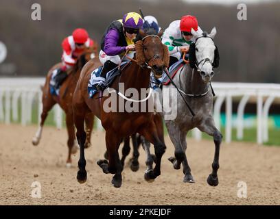 Rainbow Dreamer Rived by Hollie Doyle gewinnt die Wetteinsätze für die BetUK All-Weather Marathon Championships auf der Rennbahn Newcastle, Newcastle. Foto: Freitag, 7. April 2023. Stockfoto