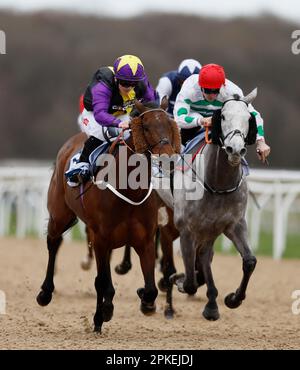 Rainbow Dreamer Rived by Hollie Doyle gewinnt die Wetteinsätze für die BetUK All-Weather Marathon Championships auf der Rennbahn Newcastle, Newcastle. Foto: Freitag, 7. April 2023. Stockfoto