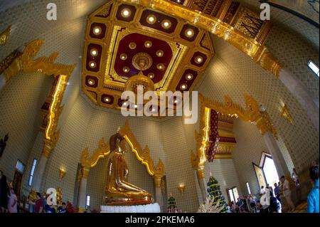 Buddhistischer Tempel in Bangkok mit vergoldeter Statue in der Mitte und wunderschön gestalteter Decke. Stockfoto