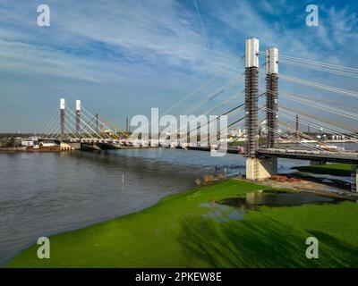 Duisburg, Nordrhein-Westfalen, Deutschland - Baustelle Neuenkamp Rheinbrücke, Neubau der Autobahn A40, neue Brücke, neue Brücke vor an Stockfoto
