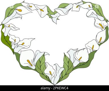 Zantedeschia-Blütenherz isolierter Elemente auf weißem Hintergrund Stock Vektor