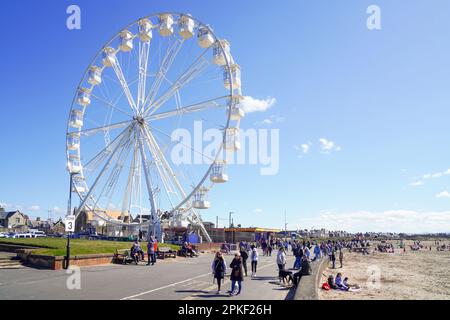 Troon, Großbritannien. 07. April 2023. Am Osterfreitag, dem ersten Tag des Osterferienwochenendes, zog das warme und sonnige Wetter einige Leute an den Strand. Kredit: Findlay/Alamy Live News Stockfoto