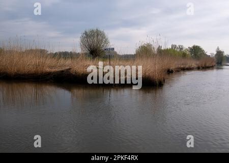 Niederlande, Dordrecht am 2022. 04. 12. Bericht über den Nationalpark De Biesbosch durch seinen Ranger Staatsbosbeheer. De Biesbosch-Nationalpark, ON Stockfoto