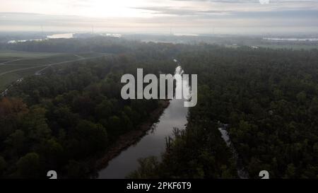 Niederlande, Dordrecht am 2022. 04. 12. Bericht über den Nationalpark De Biesbosch durch seinen Ranger Staatsbosbeheer. De Biesbosch-Nationalpark, ON Stockfoto