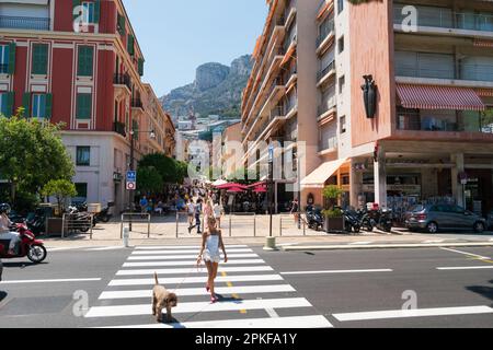 Junge Touristin mit Hundeüberquerung, Fußgängerüberquerung in Monte Carlo mit Berg im Hintergrund Stockfoto