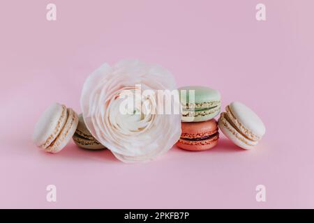 Leckere französische Makronen mit wunderschöner Blume auf pinkfarbenem Pastellhintergrund. Platz für Text. Stockfoto