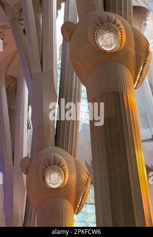 Die Säulen der Sagrada Familia, Barcelona, Spanien Stockfoto