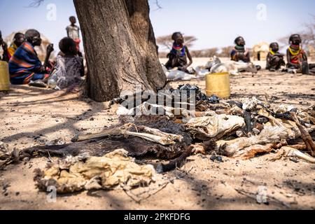 Kenia. 17. Februar 2023. Hungernde Bevölkerung in den Dörfern im Norden Kenias der Klimawandel verursacht in Ostafrika die schlimmste Dürre in seiner Geschichte: Es hat in dieser Region seit mehr als drei Jahren nicht mehr geregnet, und mehr als 36 Millionen Menschen sind mit den verheerenden Folgen einer Welle konfrontiert, die laut Prognosen nicht in absehbarer Zeit enden wird. In Turkana, nördlich von Kenia, kämpfen die Menschen, um diese schreckliche Dürre zu überleben. (Foto: Simone Boccaccio/SOPA Images/Sipa USA) Guthaben: SIPA USA/Alamy Live News Stockfoto