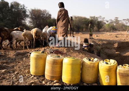 Kenia. 18. Februar 2023. Eine Frau des Turkana-Stammes, die ihren Tieren Wasser gibt der Klimawandel verursacht in Ostafrika die schlimmste Dürre in seiner Geschichte: Es hat in dieser Region seit mehr als drei Jahren nicht mehr geregnet, und mehr als 36 Millionen Menschen sind mit den verheerenden Folgen einer Welle konfrontiert, die laut Prognosen nicht in absehbarer Zeit enden wird. In Turkana, nördlich von Kenia, kämpfen die Menschen, um diese schreckliche Dürre zu überleben. (Foto: Simone Boccaccio/SOPA Images/Sipa USA) Guthaben: SIPA USA/Alamy Live News Stockfoto