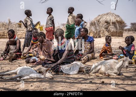 Kenia. 17. Februar 2023. Hungernde Bevölkerung in den Dörfern im Norden Kenias der Klimawandel verursacht in Ostafrika die schlimmste Dürre in seiner Geschichte: Es hat in dieser Region seit mehr als drei Jahren nicht mehr geregnet, und mehr als 36 Millionen Menschen sind mit den verheerenden Folgen einer Welle konfrontiert, die laut Prognosen nicht in absehbarer Zeit enden wird. In Turkana, nördlich von Kenia, kämpfen die Menschen, um diese schreckliche Dürre zu überleben. (Foto: Simone Boccaccio/SOPA Images/Sipa USA) Guthaben: SIPA USA/Alamy Live News Stockfoto