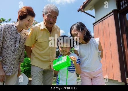 Schwester, Bruder und Großeltern fangen Insekten Stockfoto