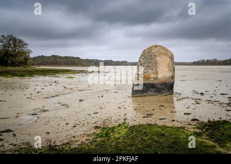 Menhir de Penglaouic bei Ebbe an der Flussmündung der Pont l'Abbe, Bretagne, Frankreich Stockfoto