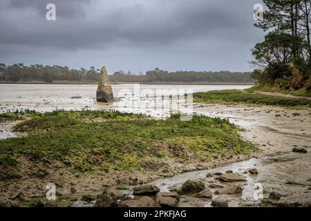 Menhir de Penglaouic bei Ebbe an der Flussmündung der Pont l'Abbe, Bretagne, Frankreich Stockfoto