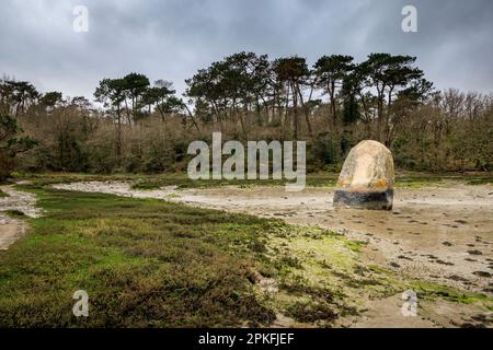 Menhir de Penglaouic bei Ebbe an der Flussmündung der Pont l'Abbe, Bretagne, Frankreich Stockfoto