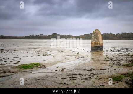 Menhir de Penglaouic bei Ebbe an der Flussmündung der Pont l'Abbe, Bretagne, Frankreich Stockfoto