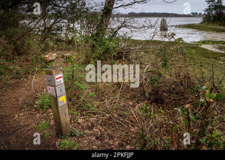 Menhir de Penglaouic bei Ebbe an der Flussmündung der Pont l'Abbe mit der GR 34 National Trail Markierung, Bretagne, Frankreich Stockfoto