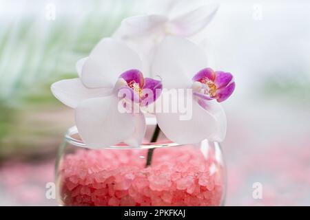 Pinke Orchidee in einer Vase mit pinkfarbenem Meersalz in Nahaufnahme. Spa- und Wellnesskonzept Stockfoto