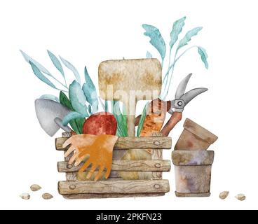 Holzkiste mit Gartenwerkzeugen und Karotten, Zwiebelernte Aquarellmalerei. Rechen, Schaufel und Gemüse-Aquarelle-Illustration Stockfoto