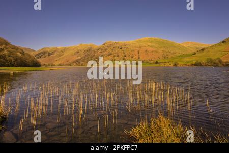 Brüder Water im Englash Lake District an einem sonnigen Nachmittag Stockfoto