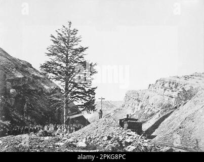 Thousand Mile Tree, Wilhelmina's Pass Negative 1869; Druck 1870 von Andrew J. Russell Stockfoto