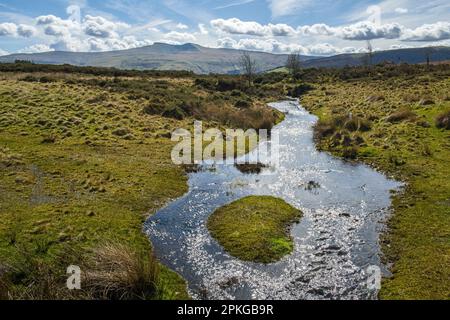 Gute Aussicht entlang des Flusses, der das Auge zum Pen y Fan und Corn Du über den Mynydd Illtyd Common im April führt, mit Wolkenreflexionen auf dem Fluss. Blick nach Br Stockfoto