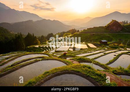 Reisterrassen bei Sonnenuntergang im Maruyama-Senmaida, Kumano, Japan. Stockfoto