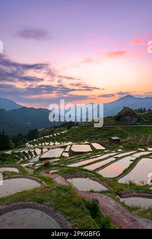 Reisterrassen bei Sonnenuntergang im Maruyama-Senmaida, Kumano, Japan. Stockfoto