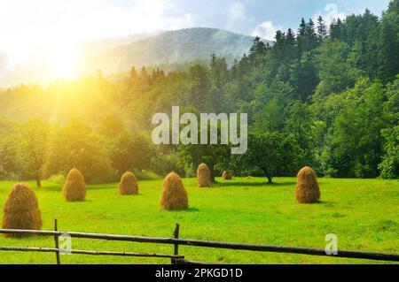 Heuhaufen im Bergtal der Karpaten. In den Strahlen der untergehenden Sonne sind Regentropfen sichtbar. Stockfoto