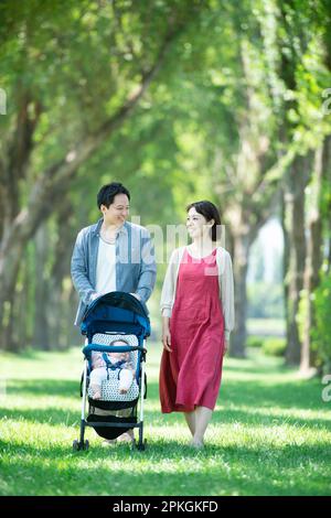 Die Familie schiebt einen Kinderwagen an Pappelbäumen entlang Stockfoto