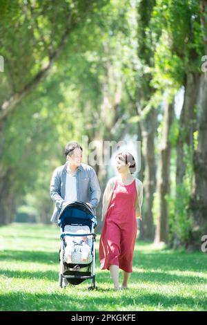 Die Familie schiebt einen Kinderwagen an Pappelbäumen entlang Stockfoto