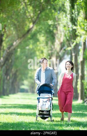 Die Familie schiebt einen Kinderwagen an Pappelbäumen entlang Stockfoto