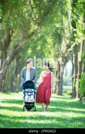 Die Familie schiebt einen Kinderwagen an Pappelbäumen entlang Stockfoto