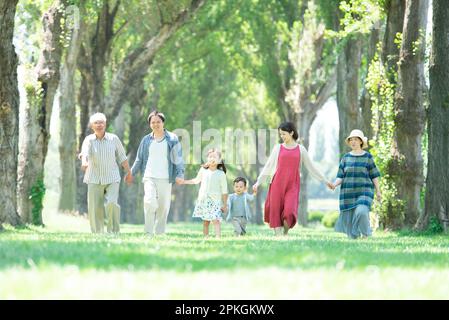 Eine Familie aus drei Generationen, die an einer Reihe von Pappelbäumen entlang spaziert Stockfoto