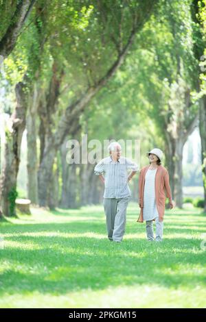 Ein Seniorenpaar, das an den Pappelbäumen entlang spaziert Stockfoto