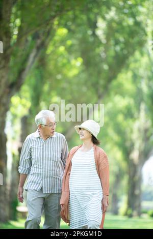 Ein Seniorenpaar, das auf Pappelbäumen spaziert Stockfoto