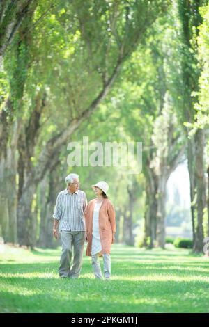 Ein Seniorenpaar, das an den Pappelbäumen spaziert Stockfoto