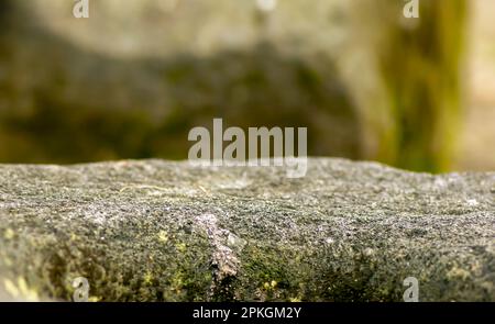 Naturstein für die Produktausstellung, mit grober Textur Stockfoto